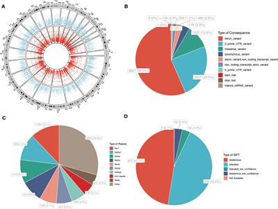 Transcriptome analysis identification of A-to-I RNA editing in granulosa cells associated with PCOS